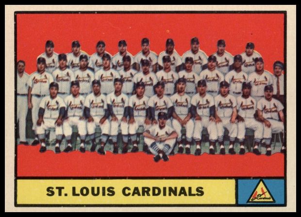 347 Cardinals Team